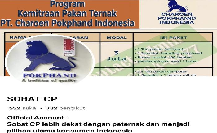 Pemuda asal Madiun Tertipu Modus Pembelian Pakan Ternak dari PT Charoen Pokphand Indonesia, Rugi Jutaan Rupiah