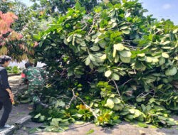 Guyub Rukun Bersama Warga, Babinsa Baluwarti Kerja Bakti Potong Pohon Dan Bersihkan Lingkungan