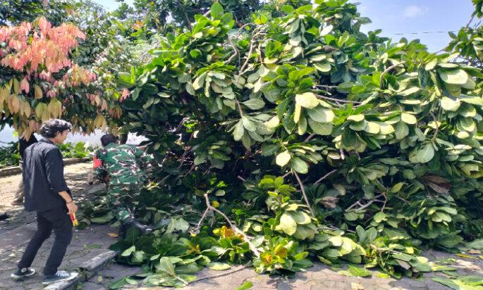 Guyub Rukun Bersama Warga, Babinsa Baluwarti Kerja Bakti Potong Pohon Dan Bersihkan Lingkungan