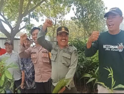 PT. A Plus Pacific dukung Program Ketapang, Salurkan Bantuan Lima Ratus Bibit Pohon Buah ke LMDH Sumber Lestari Prupuh