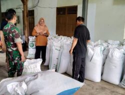 Serapan Gabah Berlanjut, TNI Konsisten Kawal Dukung Ketahanan Pangan Nasional