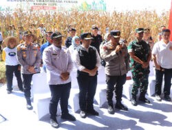 Kapolda Jatim Bersama Forkopimda Panen Raya Jagung Kuartal II di Ngawi