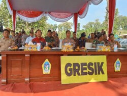 Kapolres Gresik Gelar Panen Raya Jagung Serentak Kwarta II bersama Muspika Panceng