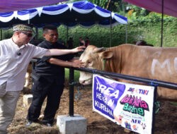 JNE Rayakan Idul Adha 1446 H dengan Semangat Berbagi dan Promo Spesial