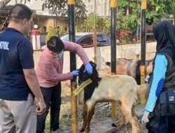 Polres Madiun Kota Datangkan Dokter Hewan Pastikan Kesehatan Hewan Kurban