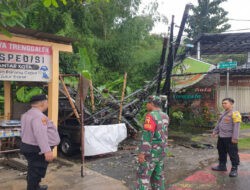 Pohon Tumbang Timpa Tiang Listrik dan Mobil di Trenggalek, TNI-Polri dan Warga Sigap Evakuasi