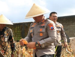 Polres Malang Panen Raya Jagung Dukung Ketahanan Pangan Nasional