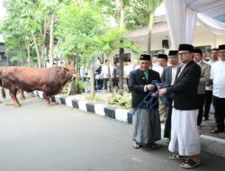 Serahkan Hewan Kurban Kemendagri dan BNPP, Wamendagri Bima Ajak Pegawai Perkuat Kepedulian dan Kebersamaan