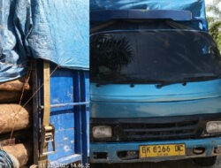 Mobil truk Diduga Pengangkut Kayu Mahang Ilegal Ditemukan Parkir Dipinggir Jalan Lintas Bono