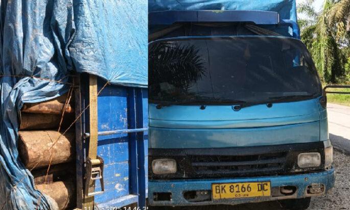 Mobil truk Diduga Pengangkut Kayu Mahang Ilegal Ditemukan Parkir Dipinggir Jalan Lintas Bono