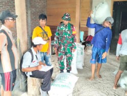 Sertu Mariono dan PPL Laksanakan Sergap 12 Ton Gabah di Desa Pandean