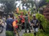 Antisipasi Pohon Tumbang, Babinsa Gandekan Bersama Saberling dan Warga Laksanakan Perempelan Pohon