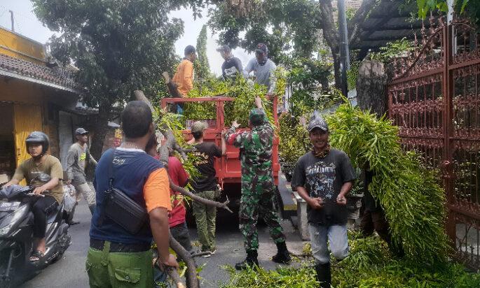 Antisipasi Pohon Tumbang, Babinsa Gandekan Bersama Saberling dan Warga Laksanakan Perempelan Pohon