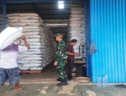 TNI Tinjau Gabah Hasil Sergab di Gudang Bulog Pacitan, Pastikan Aman Dan Berkualitas