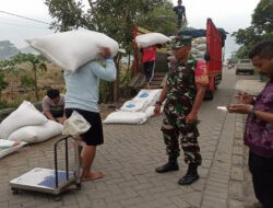 Babinsa Trenggalek Dampingi Penyerapan 16 Ton Gabah, TNI Konsisten Jaga Swasembada Pangan