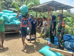 Dukung Swasembada Pangan, Babinsa Koramil Ngrambe Aktif Dampingi Bulog Laksanakan Sergap