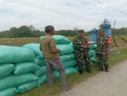 Babinsa Komsos dengan Petani, Tanyakan Harga Gabah dan Kondisi Pertanian
