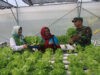 Dandim Sumedang Tinjau Lahan Starbak di Tanjung Kerta: Dorong Desa Mandiri Pangan dan Sejahterakan Petani