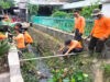 Gandeng Saberling Babinsa Purwosari Bersihkan Rumput Liar yang Merambat di Pagar dan Saluran Air
