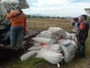 Babinsa Kodim Ponorogo Dampingi Petani Jual Hasil Panen