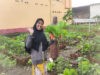 Pekarangan Bergizi Binaan Pak Bhabin Jadi Wisata Pasar Tangguh: Sensasi Petik Sawi di KTS Karangrejo Jember