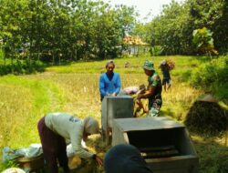 Sertu Misnan Aktif Lakukan Pendampingan Kepada Petani di Wilayah Binaan
