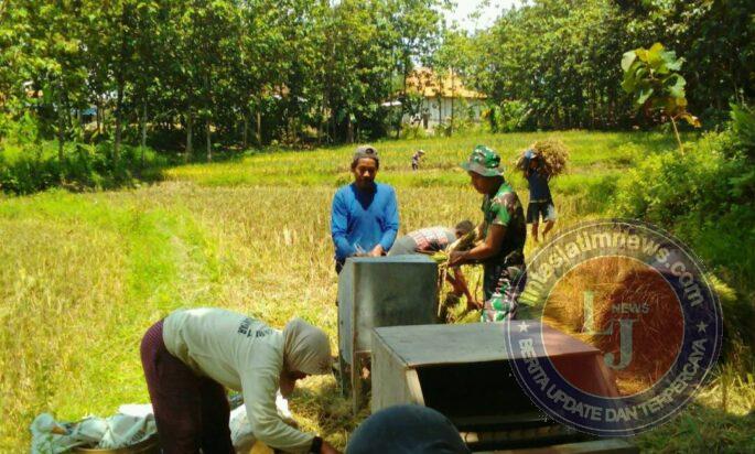 Sertu Misnan Aktif Lakukan Pendampingan Kepada Petani di Wilayah Binaan
