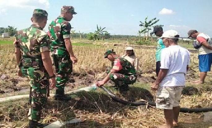 Babinsa Berperan Aktif, Mengawasi Aliran Irigasi Pertanian dari IRPOM