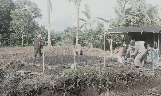 Pelanggaran Tata Ruang di WBD Jatiluwih Belum Ditindak Tegas, Pelanggaran Serupa Muncul Kembali
