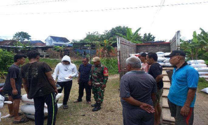 TNI Dukung dan Tingkatkan Kesejahteraan Petani Wilayah Pacitan dengan Mengawal Sergab