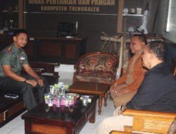 Dukung Ketahanan Pangan Nasional, Dandim 0806/Trenggalek Jalin Sinergi dengan Dinas Pertanian dan Pangan