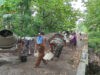 Babinsa Bersinergi dengan Masyarakat Gotong Royong Perbaiki Jalan Desa