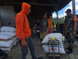 Komitmen TNI Dukung Hanpangan Di Wilayah Pacitan Melalui Program Sergab