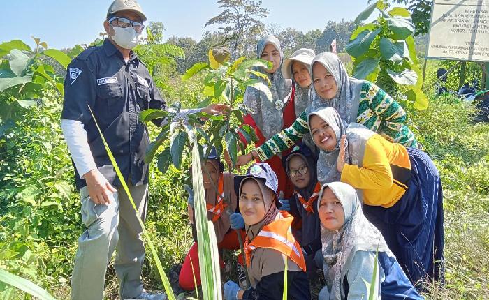 IPNU Panceng Gandeng 3 Pilar dan Pemdes Prupuh Peduli Bumi Tanam Pohon Sepanjang Jalan Deandels Panceng