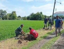 Koramil Karangmalang Sukseskan Penanaman Pohon, Hijaukan Jalan Kel. Kroyo