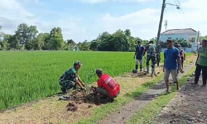 Koramil Karangmalang Sukseskan Penanaman Pohon, Hijaukan Jalan Kel. Kroyo