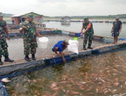 Babinsa Sambangi Peternak Nila, Jalin Sinergi dan Dukung Peningkatan Produksi
