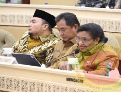 Raker dengan Komisi II, Wamendagri Ribka Tekankan Komitmen Kemendagri Dukung Pelaksanaan PSU dan Pilkada Ulang