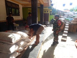 Kolaborasi TNI Dan Bulog, Kawal Serapan Gabah Untuk Kesejahteraan Petani Pacitan