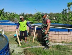 Babinsa Berikan Pendampingan Budidaya Kolam Ikan Lele di Desa Tegaldowo