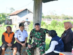 Kendalikan Hama Wereng Tanaman Padi, Dandim Ponorogo Langsung Temui Para Petani