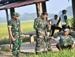 Turut Basmi Wereng Tanaman Padi, Upaya Dandim Ponorogo Sejahterakan Petani