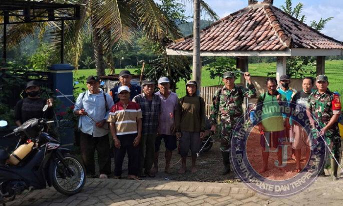 TNI, PPL dan Petani Bersatu: Perang Melawan Wereng Demi Pangan Rakyat di Trenggalek