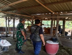 Babinsa Kedunggalar dampingi Petugas Peternakan Laksanakan Vaksinasi PMK di Desa Wmonorejo