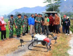 Sawah Diserang Wereng, TNI Turun Tangan! Drone Jadi Senjata Baru Petani Trenggalek