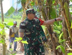 Dansatgas TMMD Reguler Ke-125 Kodim 0735/Surakarta Tinjau Kesiapan Lahan Ketahanan Pangan di Lokasi TMMD