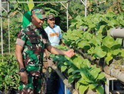 Dandim 0610/Sumedang Bersama Persit Panen Sayur di Kebun Persit: Wujud Ketahanan Pangan dan Kebersamaan