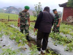 Kodim 0806/Trenggalek Ubah Agro Park Jadi Laboratorium Hidup untuk Prajurit Tani