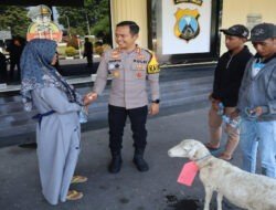 Polres Bondowoso Amankan Tersangka Curwan, Barang Bukti Kambing Diserahkan Kembali ke Pemilik