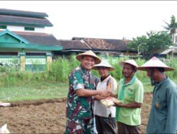 Dukung Program Pemerintah, Dandim Pacitan Dan Forkopimda Hadiri Kegiatan Polres Pacitan Tanam Jagung Kuartal III